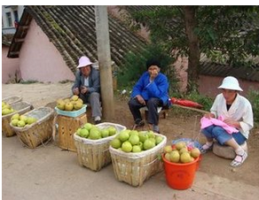 乌龙村(云南省昆明晋宁县昆阳街道办事处乌龙村委会)