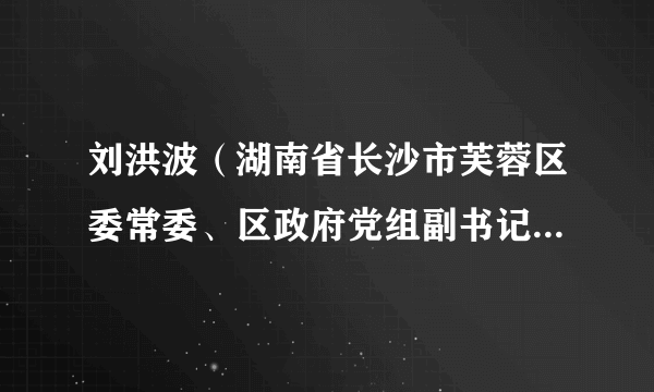 刘洪波(湖南省长沙市芙蓉区委常委、区政府党组副书记、常务副区长)