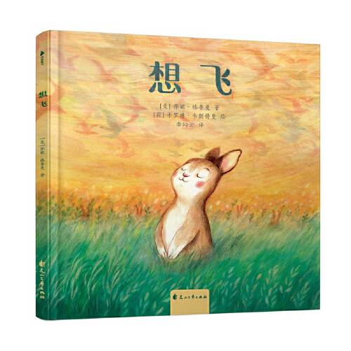 想飞(2018年花山文艺出版社出版的图书)
