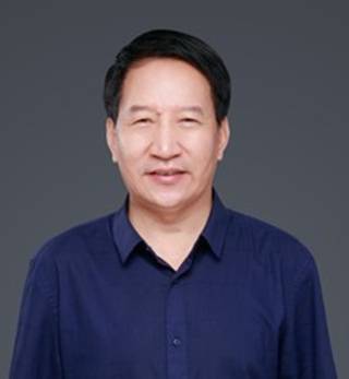 王庆(东南大学教授)