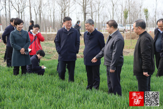 小岗村(河南省泌阳县泌水街道小岗居委)