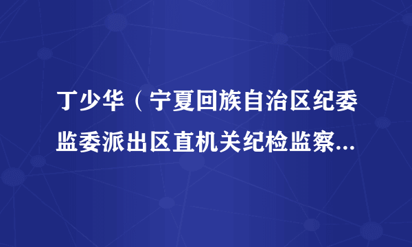 丁少华（宁夏回族自治区纪委监委派出区直机关纪检监察工委二级主任科员）