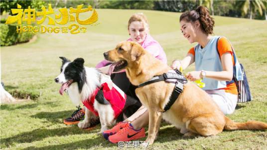 MARY(电视剧《神犬小七第二季》中的角色)