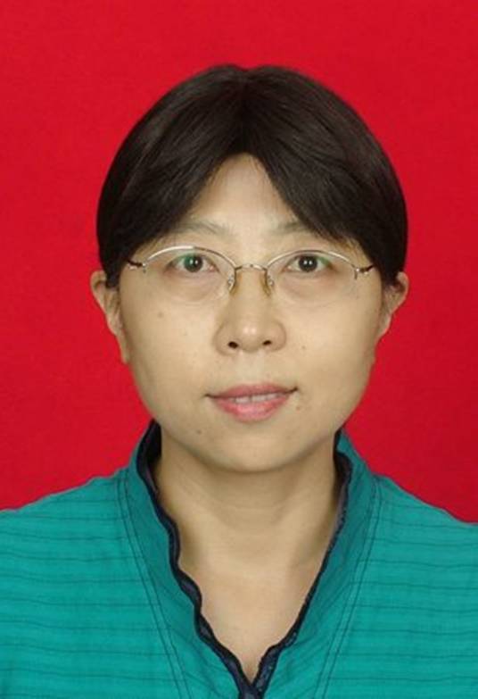 杨丽娟(东北大学文法学院教授)