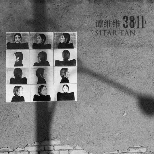 如花(谭维维演唱歌曲)