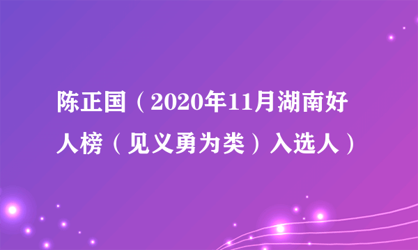 陈正国(2020年11月湖南好人榜(见义勇为类)入选人)