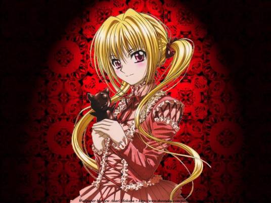 伊芙（日本漫画《黑猫》及其衍生作品中的女主角）