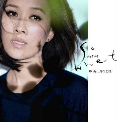 那又怎样(2011年那英发行的音乐专辑)