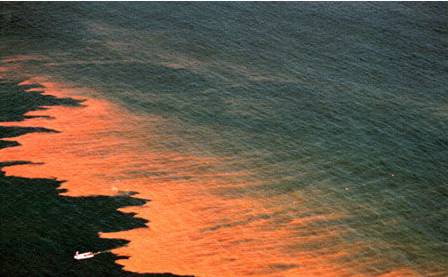 海洋环境污染损害