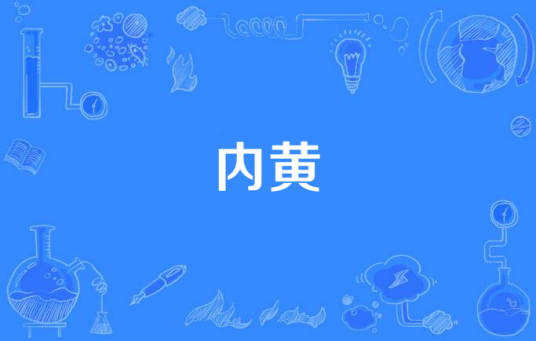 内黄(中医术语)