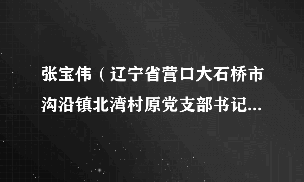 张宝伟（辽宁省营口大石桥市沟沿镇北湾村原党支部书记兼村委会主任）