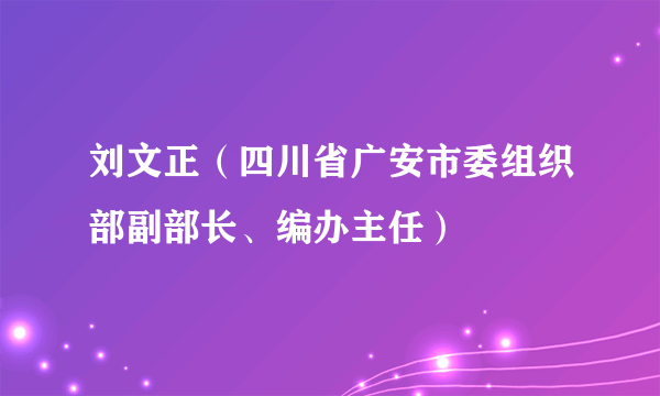 刘文正(四川省广安市委组织部副部长、编办主任)