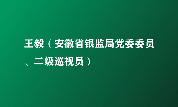 王毅（安徽省银监局党委委员、二级巡视员）