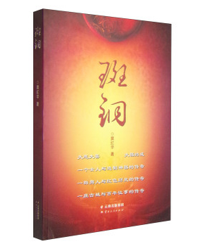 斑铜（2013年云南人民出版社出版的图书）