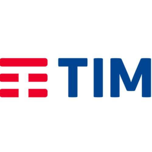 意大利TIM集团