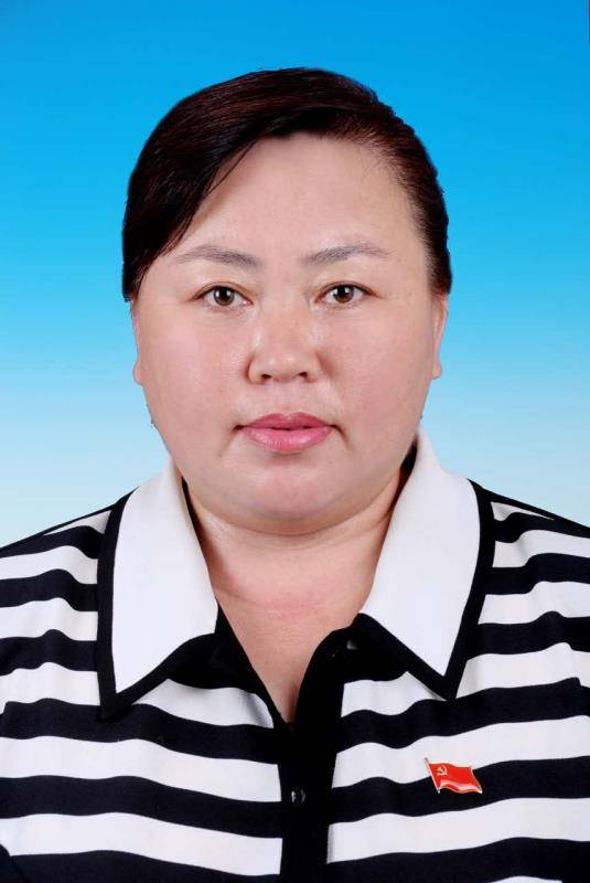 白淑英(内蒙古自治区通辽市库伦旗委常委、副旗长(挂职))