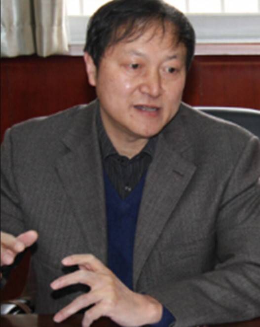 陈勇(电子科技大学能源科学与工程学院教授)