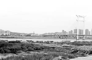 泉州湾晋江南岸湿地公园