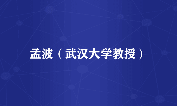 孟波(武汉大学教授)