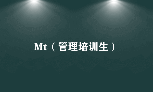 Mt（管理培训生）