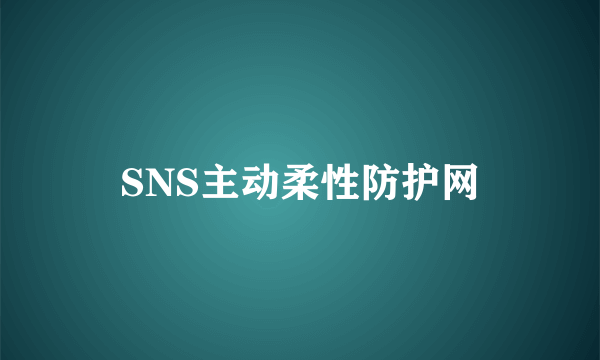 SNS主动柔性防护网