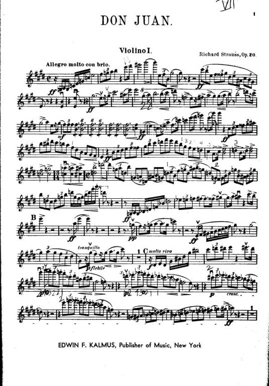 唐璜(理查德·施特劳斯创作的交响乐)