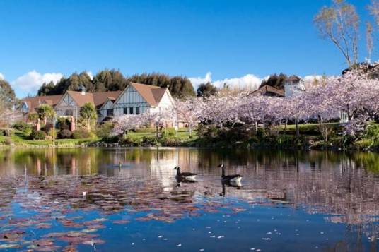 新西兰IPU国际学院