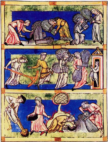 世界中古史(世界史分支)