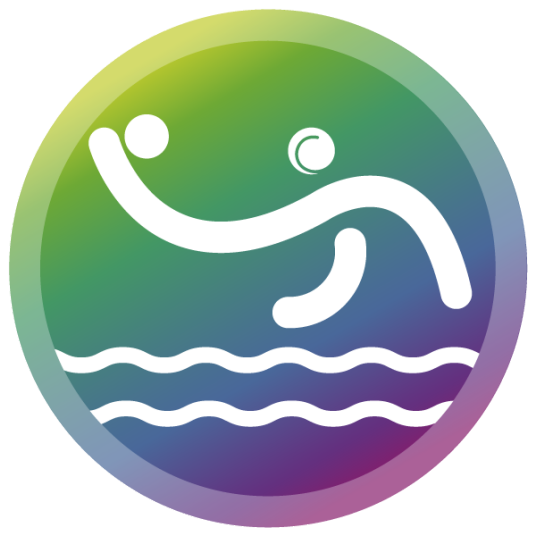 中华人民共和国第十四届运动会水球比赛