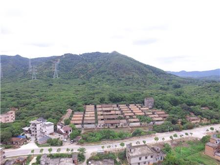 钟楼村(广东省广州市从化区太平镇下辖村)