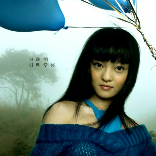 明明爱你(2004年张韶涵演唱歌曲)