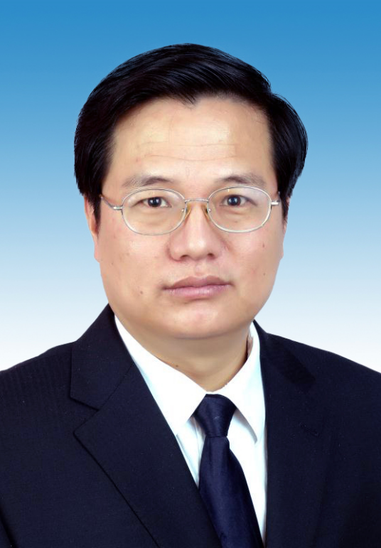 王选(民革陕西省委会副主任委员)