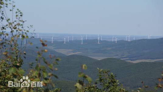 黑龙江桦川国家森林公园