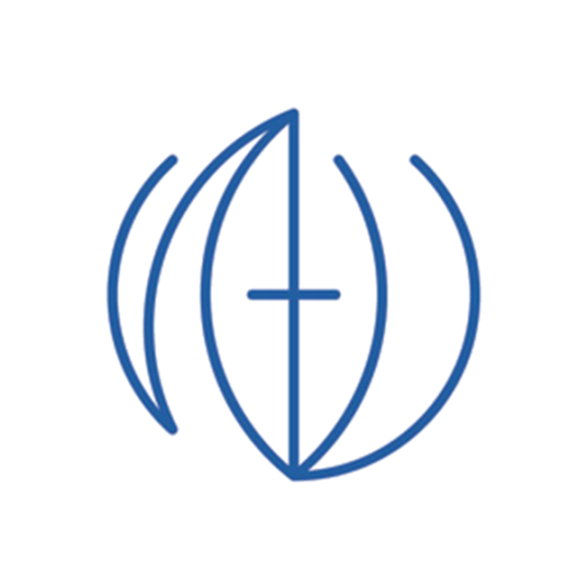 圣托马斯大学（日本大学）