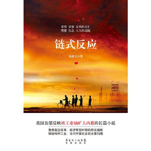 链式反应(2014年花城出版社出版的图书)