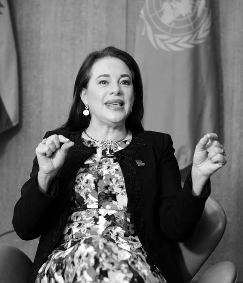 玛丽亚·费尔南达(哥伦比亚模特)