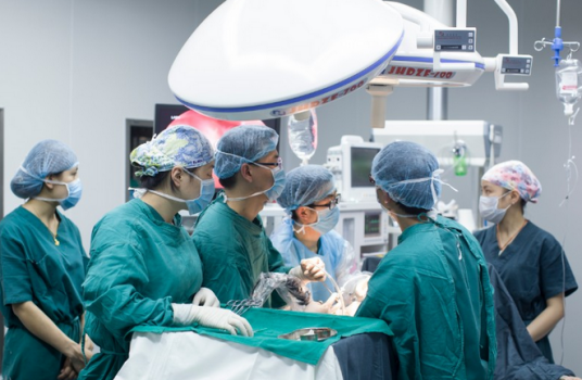 体外冲击波碎石取石术