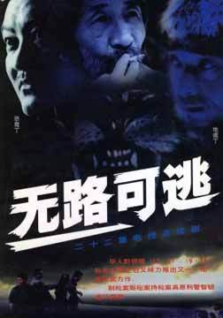 无路可逃(2004年金琛执导的警匪剧)