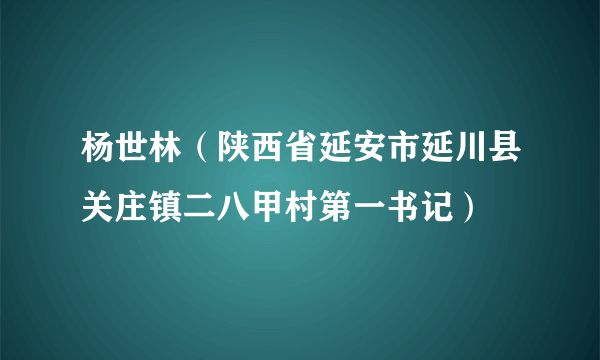 杨世林（陕西省延安市延川县关庄镇二八甲村第一书记）