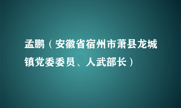 孟鹏（安徽省宿州市萧县龙城镇党委委员、人武部长）