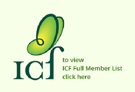 国际夏令营协会