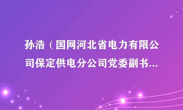 孙浩(国网河北省电力有限公司保定供电分公司党委副书记、纪委书记)