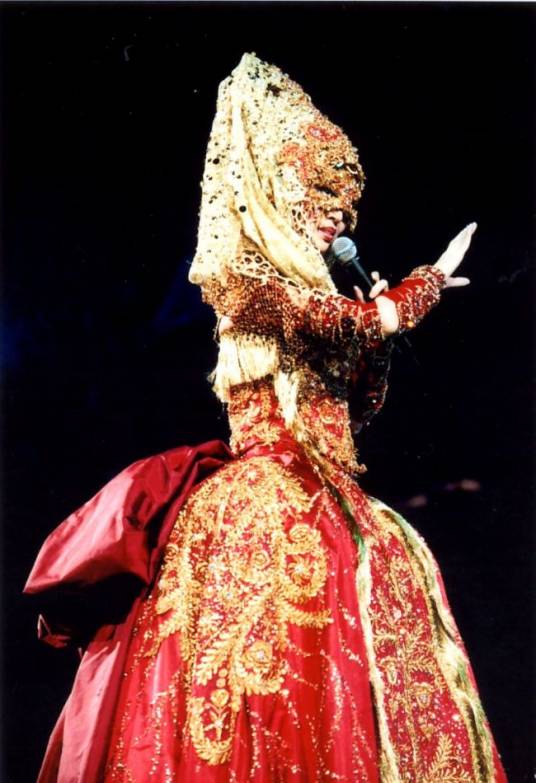 香港的女儿·梅艳芳