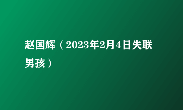 赵国辉（2023年2月4日失联男孩）