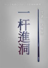 一杆进洞（张鼎鼎创作的网络小说作品）