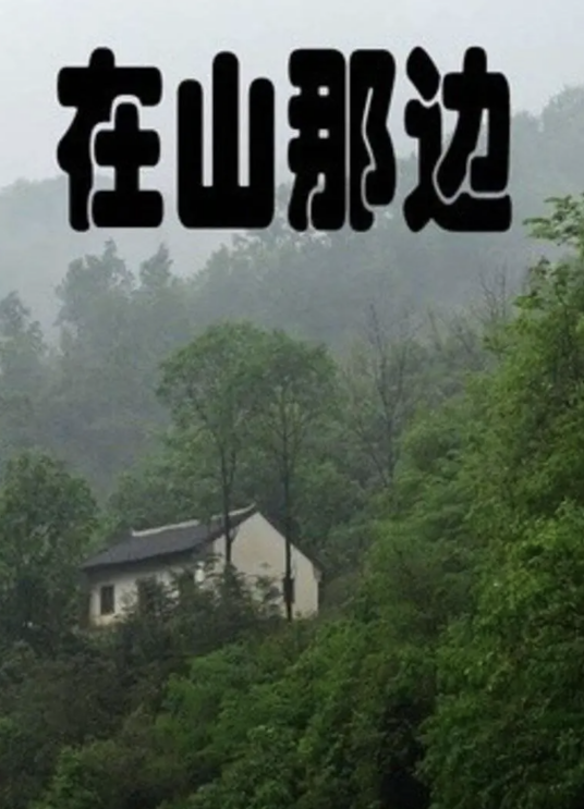 在山那边（2010年程东海执导的剧情电影）