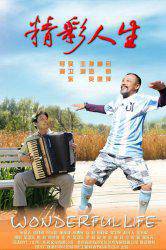 精彩人生（2010年吴卫东执导电影）