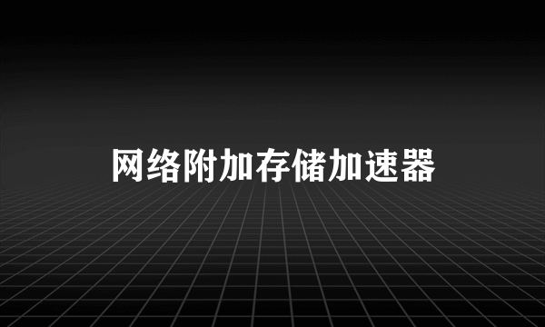 网络附加存储加速器