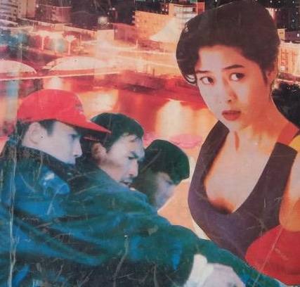 卧底警花(2013年青海人民出版社出版的图书)