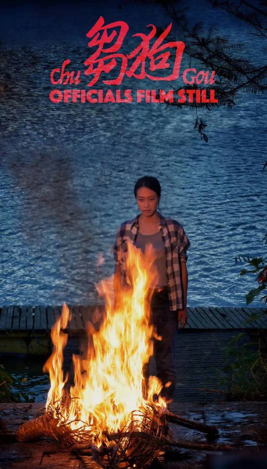 刍狗(2016年老算执导的悬疑电影)